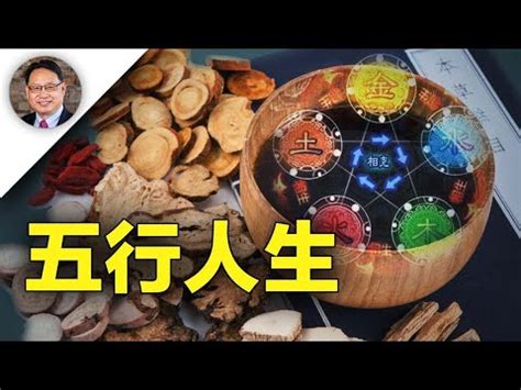 飲食業 五行|八字的五行與行業的關係